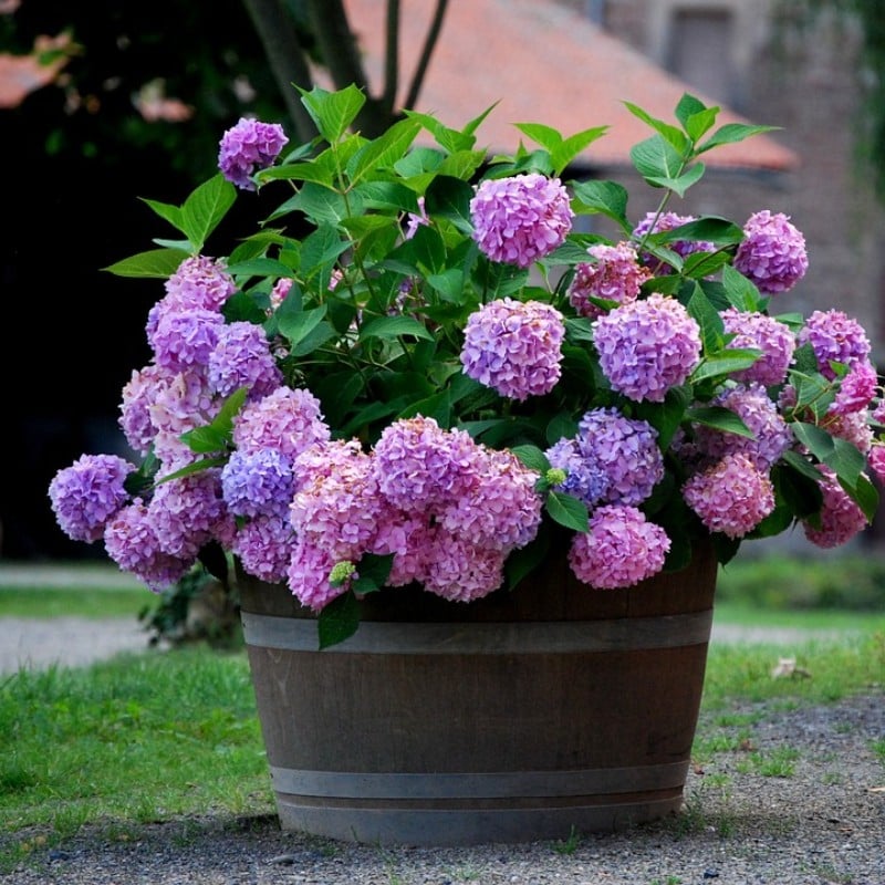 Flori frumoase✨ ȘTÂLARE LA CALD - REDUCERE 45% - flori artificiale de hortensii pentru exterior✨