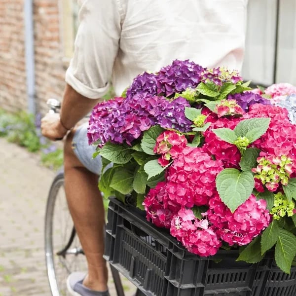 Flori frumoase✨ ȘTÂLARE LA CALD - REDUCERE 45% - flori artificiale de hortensii pentru exterior✨