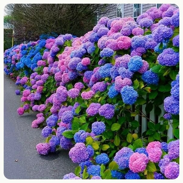 Flori frumoase✨ ȘTÂLARE LA CALD - REDUCERE 45% - flori artificiale de hortensii pentru exterior✨