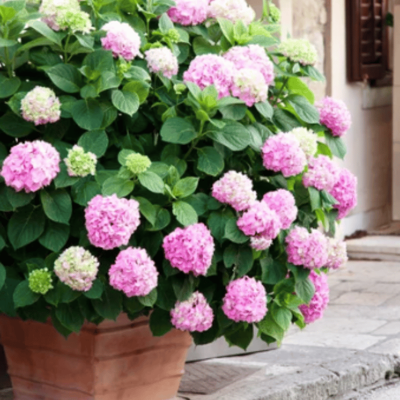Flori frumoase✨ ȘTÂLARE LA CALD - REDUCERE 45% - flori artificiale de hortensii pentru exterior✨